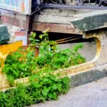 किसी अप्रिय घटना के इंतजार में पालिका प्रशासन